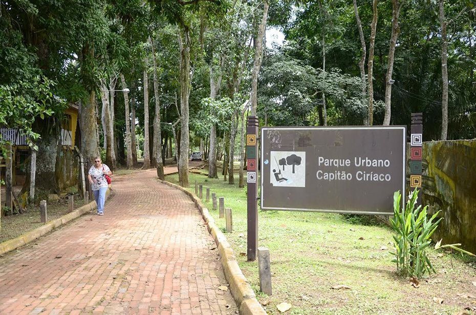 Forest and walking trail in Capitão Ciríaco Park