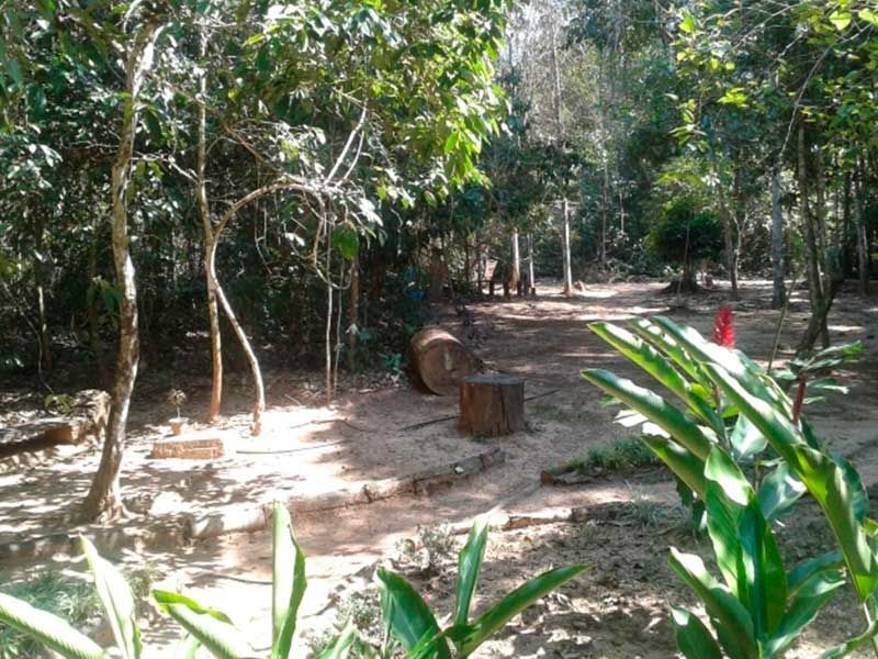 Path among trees in Chico Mendes Park